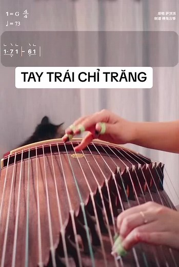 Tay Trái Chỉ Trăng - Hướng Dẫn Đánh Guzheng