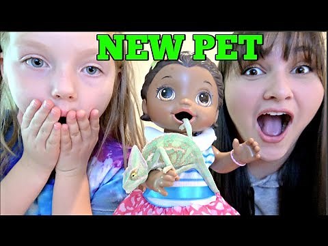 BABY ALIVE gets a NEW PET! LOL SURPRISE TOYS! The Lilly and Mommy Show! The TOYTASTIC Sisters