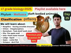 Mollusca Classification// LT GRADE BIOLOGY