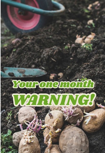 Grow Your Own Potatoes Now: Quick Start Guide & Planting Bundle