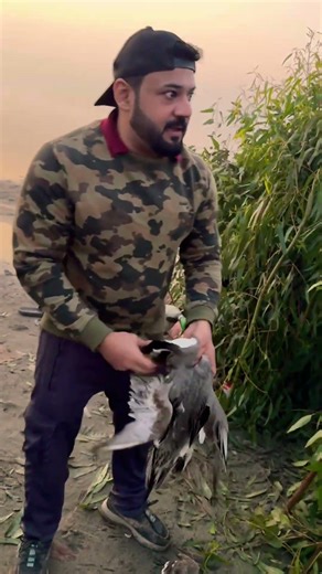 One Flock 11 pintail shoot #duckhunting #birdhunting #hunting