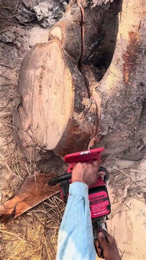 Supreme Log Slicer ⚙️ Ultra-Sharp Blade Carving Timber with Smooth Precision Maker Zone #woodcutting