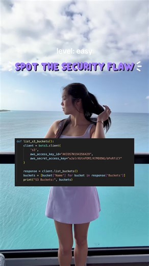 Identifying Security Issues in Programming