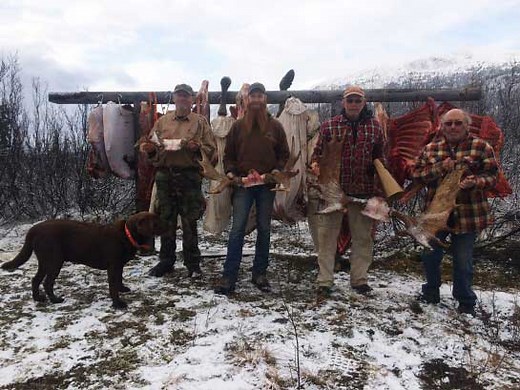 Fiberglass Moose Call • Increase your success rate!