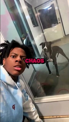 Icho Speed Attacked By A DOG?! OMG! | #short #youtubeshort #fyp