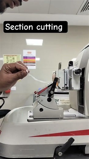 #histopathology #hestaining #hestaining #labtechnician #microtomy #pathologylab #mlt #medicaleducat