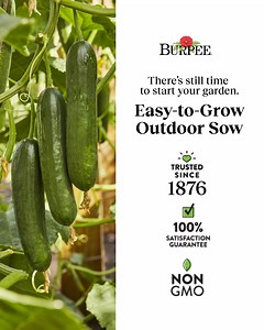 Sow it straight in your garden and grow with ease. Burpee’s Direct Sow seeds make it simple to get started now. | Burpee Gardening