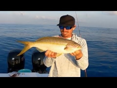 Yellowtail Snapper Fishing | Pro Tips | Light Tackle | Episode 4