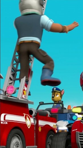 Pups Save Travis and the Big Bad Bird Crew! #PAWPatrol #shorts