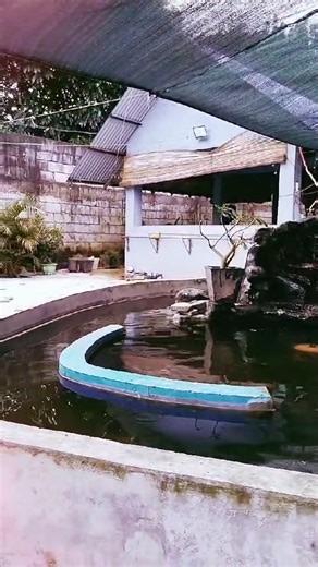 WELCOME TO ANIMAL RESCUE PH SHELTER | Animal Rescue PH