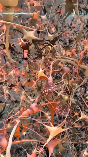 Why Do We Shiver When We Are Cold?