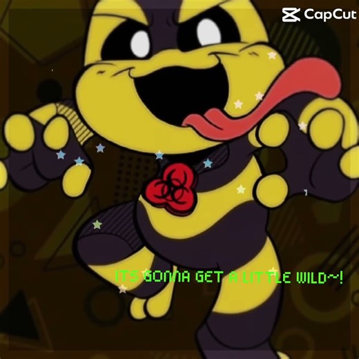 now this is what I call fun