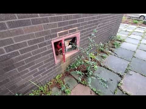 Rennes House' Whipton Exeter '31st January - 2026