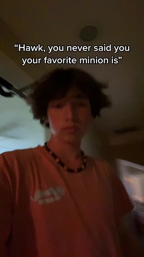 the.big.hawk (@the.big.hawk)’s videos with original sound - 𝘝𝘪𝘴𝘰𝘯𝘻.