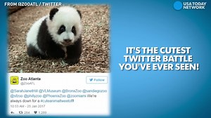 55K views · 23 reactions | This is the only kind of Twitter battle we want to see! #CuteAnimalTweetOff | First Coast News | Facebook