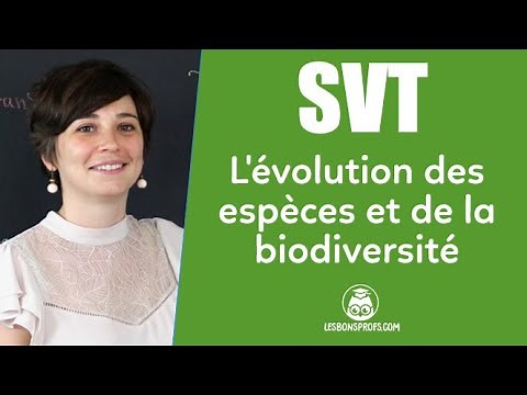 The evolution of species and biodiversity: definitions - SVT - College - Les Bons Profs