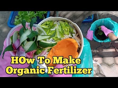 Paano gawin Pampataba ng mga Halaman ang Balat ng Prutas At Gulay/ Organic Fertilizer