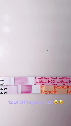 And finally… a clear positive at 12 DPO 🥹✨ My prayers for a sticky baby have been nonstop, and I just know this little miracle is the one 🤍🌈 #12DPO #PregnancyTest #BFP #RainbowBaby #StickyBaby