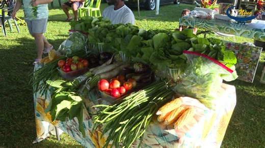 Niue National Showday 2025 Highlights x | Broadcasting Corporation of Niue