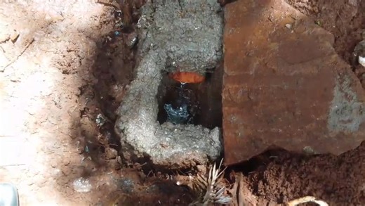 Liberty Visions Learning Center on Reels | Facebook