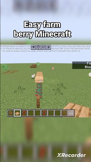 Minecraft Easy Sweet Berry Farm 🌿 | Fast & Simple Survival Farm#shorts