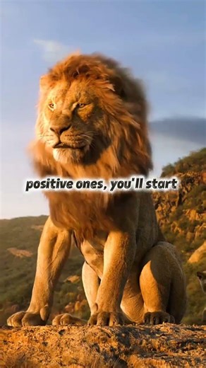 Most Famous Motivational Vedio clip 2026 #motivation #amarica #inspiration #trendingquotes