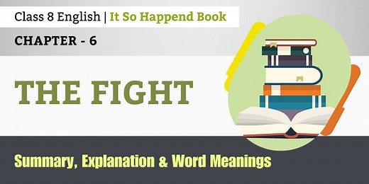 The Fight Summary, Explanation Class 8 Chapter 6