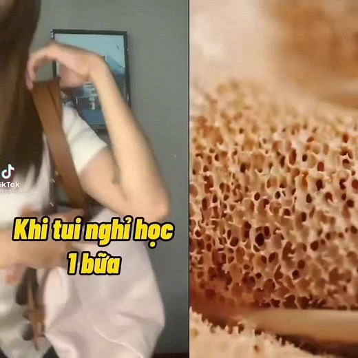 Tài khoản được đề xuất