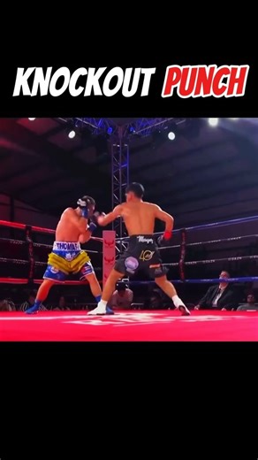 Jab + Rear Hook Knockout 💥 | Step-by-Step Combo Tutorial | Boxing Shorts