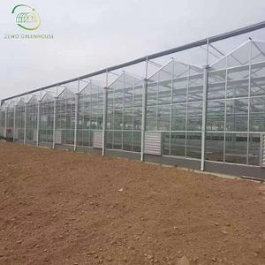 [Hot Item] Low Cost Agricultural Glass Greenhouse with Exhaust Fan/Wet Curtain for Tomato/Strawberry/Flower