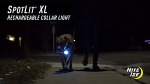 6.6K views | Our new SpotLit XL Collar Light isn't just bigger and brighter, it's rechargeable too. Featuring Disc-O Select "choose your color" technology, this clippable light is perfect for camping, evening walks, and nighttime play. | Nite Ize | Facebook