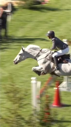 A bridleless horse finished the course all on its own!