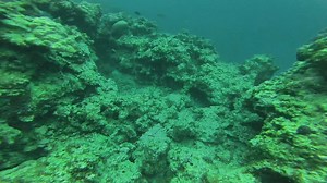 Exploring the depths with confidence: mastering self-reliance and self-rescue techniques underwater. By mastering these self-rescue techniques, you can enhance your safety and confidence while scuba diving, ensuring you are prepared to handle unexpected situations underwater. 1. Maintain Calm and Control "Stay Calm" 2. Control Buoyancy 3. Mask Clearing 4. Regulator Recovery and Clearing 5. Handling a Free-Flowing Regulator "Breathe Normally" 6. Cramp Removal "Leg Cramp" 7. Entanglement Managemen