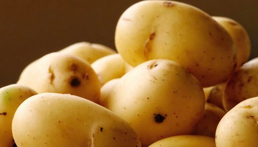 Patata (Papa) - Propiedades, Beneficios, Origen, Tipos, Características