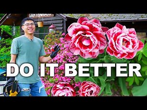 What I Do Differently Now In Spring Garden