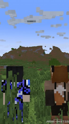 pixel_px_ على TikTok