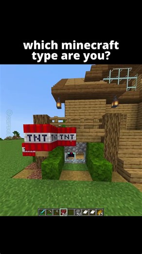 What Type Of Minecraft Player Are YOU? 🤫