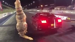 2.3M views · 3.7K shares | Wasn't expecting this... From Street Car Takeover Denver! | 1320Video.com | Facebook