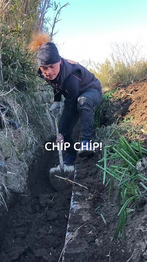 Outdoor Manual Labor: Digging a Trench for Planting