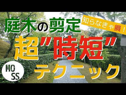 [Garden Tree Pruning] Super Time-Saving Techniques [No more double work!]