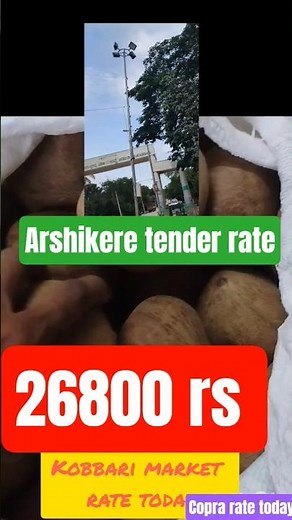 Tiptur copra rate todayTiptur dry coconut rateKobbari rate today TipturCopra price in Tiptur market