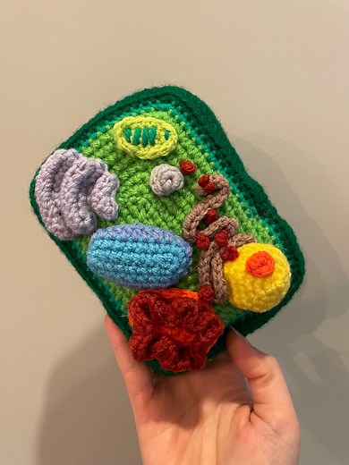 Crochet Plant Cell With Organelles – Handmade Scientific Model | Biology Gift | STEM Decor - Etsy