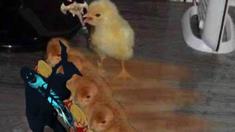 Wizardry Variants Daphne 🐔你，牢死神