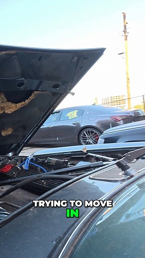 Get an up-close view of this car's awesome features, from the red leather to the engine's roar. Plus, some real talk about the joys (and challenges) of maintaining a classic, from tappet kits to—yikes—rat evidence. #ClassicCar #CarRestoration #VintageCars #CarLife | Monkey Wrench Mike