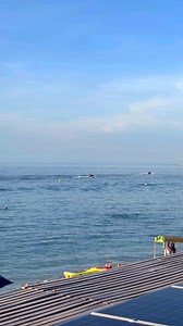 Playa El Tecolote, La Paz, Baja California Sur 🌴🌊 | Discovering CABO