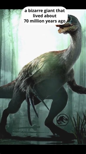 “The Strangest Dinosaur Ever”#therizinosaurus #dinosaurs #dinosaurfacts #dinosaur #prehistoric