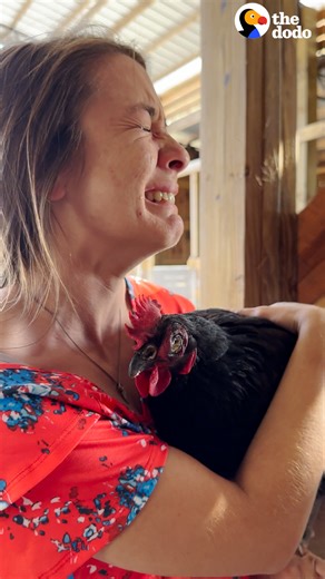 Rescue chicken was in rough shape and could never lay eggs... but watch what happens when she finally feels safe ❤️ | The Dodo