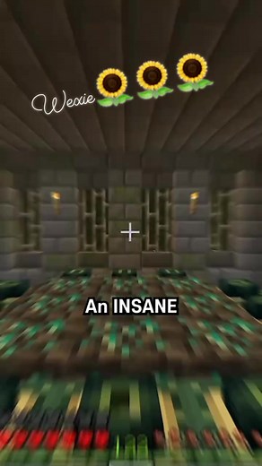 4.1K views · 19 reactions | Minecraft largest discovery #stronghold #largest #minecrafttips #Minecraft | Windy Bandico | Facebook