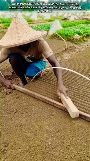 Brilliant Homemade Planter for Uniform Seedlings.