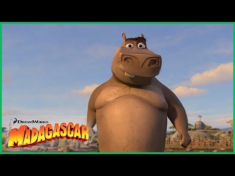 Eu Acho Que o Moto Moto Gosta de Você 😘 | DreamWorks Madagascar em Português